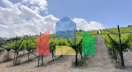 Продаж - Вілла 105 m² на Криті