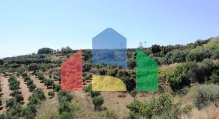 For Sale - Land 3500 m² in Crete