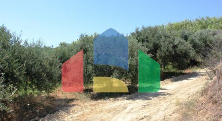 For Sale - Land 3500 m² in Crete