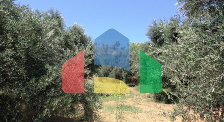 For Sale - Land 3500 m² in Crete