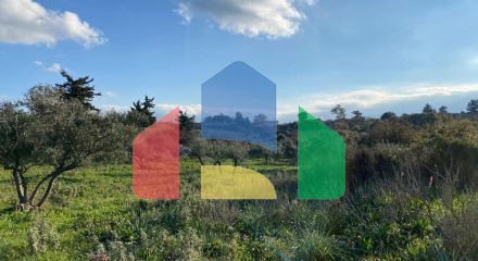 For Sale - Land 6500 m² in Crete