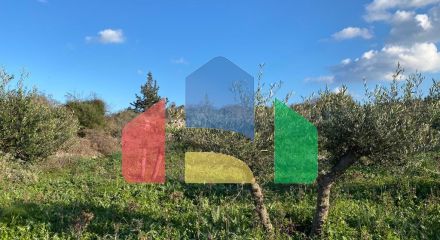 For Sale - Land 6500 m² in Crete