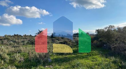 For Sale - Land 6500 m² in Crete