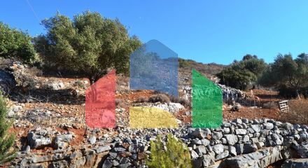 For Sale - Land 4670 m² in Crete