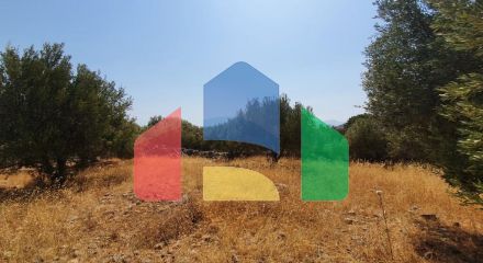 For Sale - Land 2500 m² in Crete