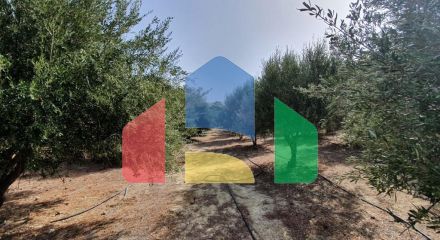 For Sale - Land 4600 m² in Crete