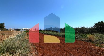 For Sale - Land 2600 m² in Crete