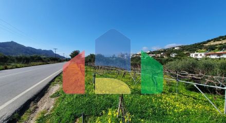 Продажа - Земельный участок 1320 m² на Крите