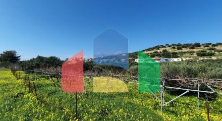 Продажа - Земельный участок 1320 m² на Крите