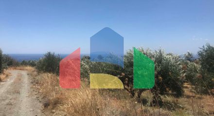 Продажа - Земельный участок 30000 m² на Крите