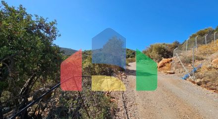 Продаж - Земельна ділянка 2922 m² на Криті