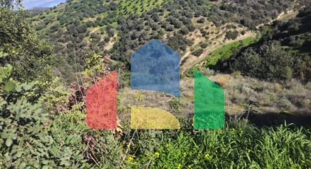 Продаж - Земельна ділянка 4125 m² на Криті