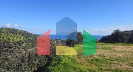 Продаж - Земельна ділянка 4125 m² на Криті