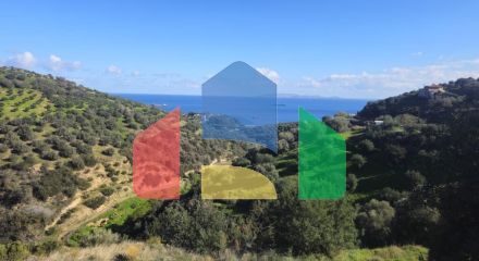 Продаж - Земельна ділянка 4125 m² на Криті