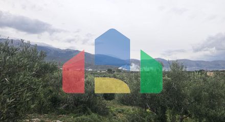 Продаж - Земельна ділянка 8500 m² на Криті