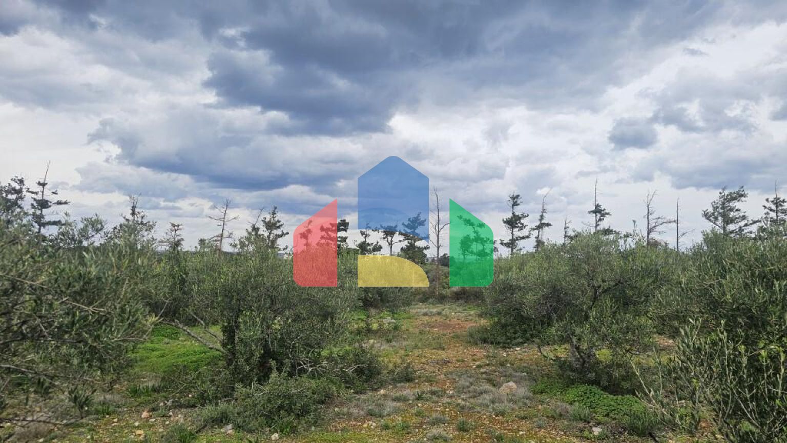 Продаж - Земельна ділянка 8500 m² на Криті