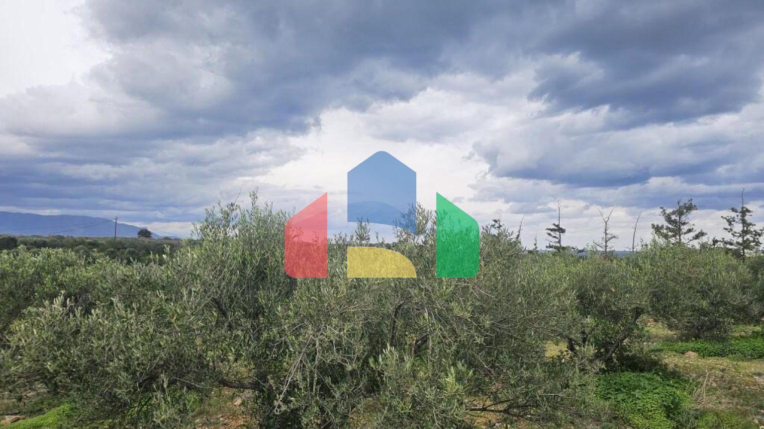 Продаж - Земельна ділянка 8500 m² на Криті