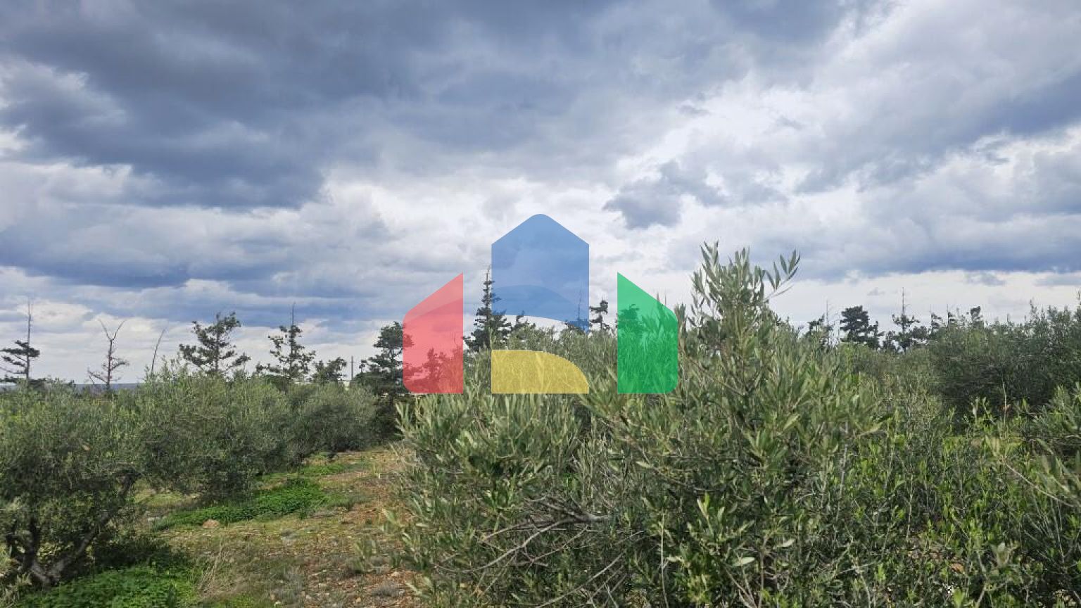 Продаж - Земельна ділянка 8500 m² на Криті