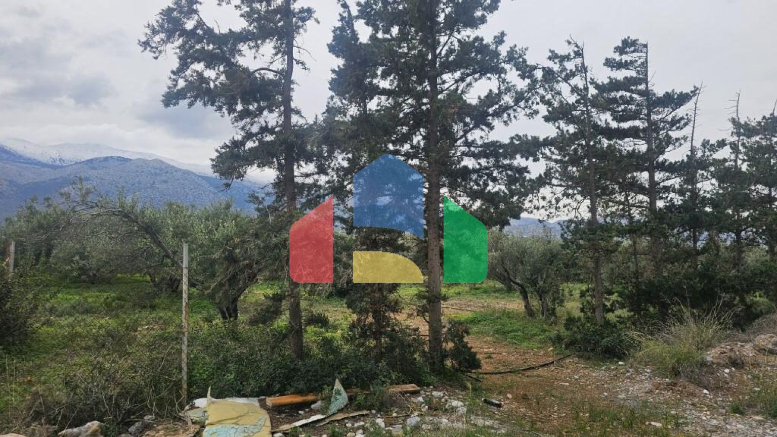 Продаж - Земельна ділянка 8500 m² на Криті