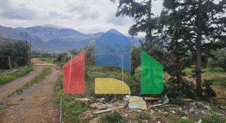 Продаж - Земельна ділянка 8500 m² на Криті