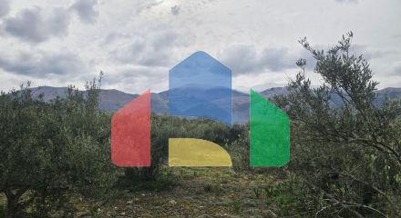 Продаж - Земельна ділянка 8500 m² на Криті