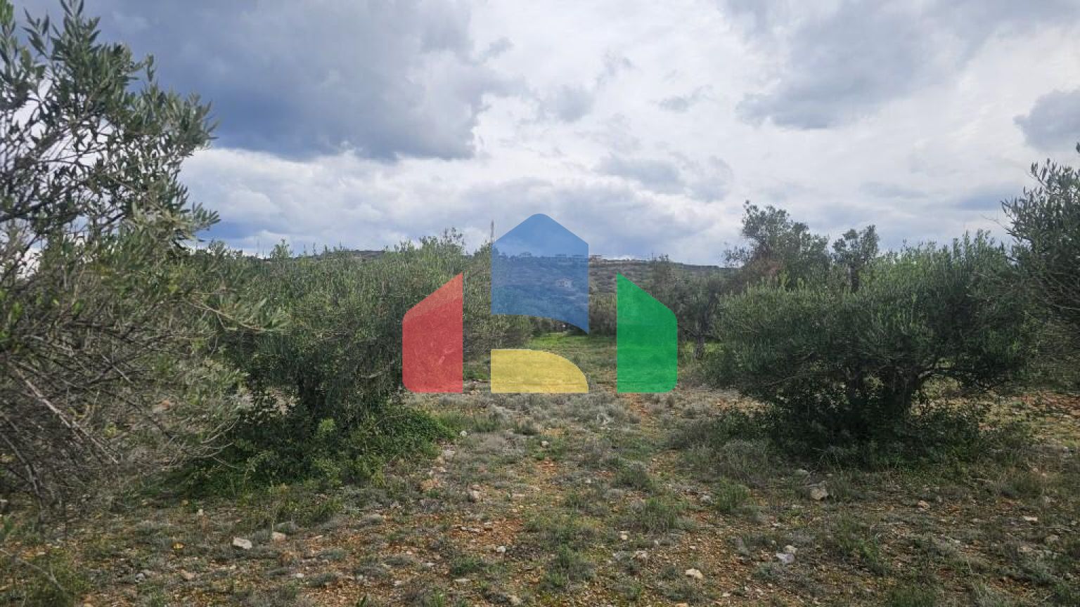 Продаж - Земельна ділянка 8500 m² на Криті