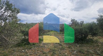 Продаж - Земельна ділянка 8500 m² на Криті