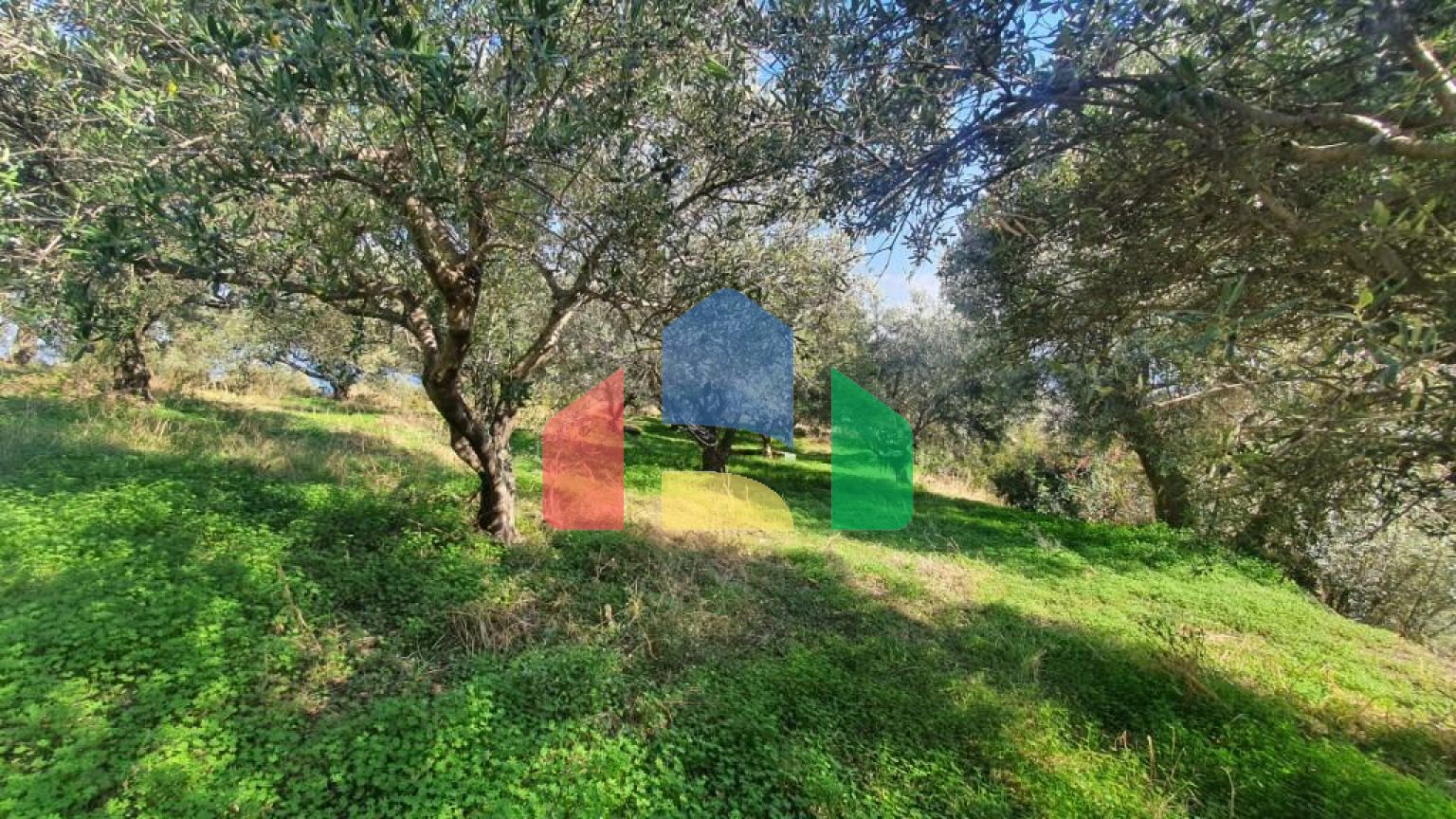 Продаж - Земельна ділянка 1500 m² на Криті