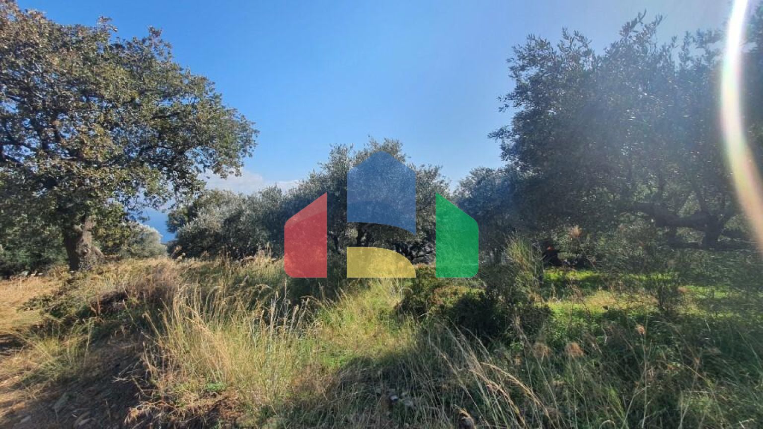 Продаж - Земельна ділянка 1500 m² на Криті