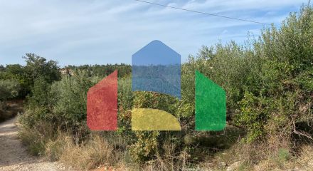 Продаж - Земельна ділянка 2499 m² на Криті