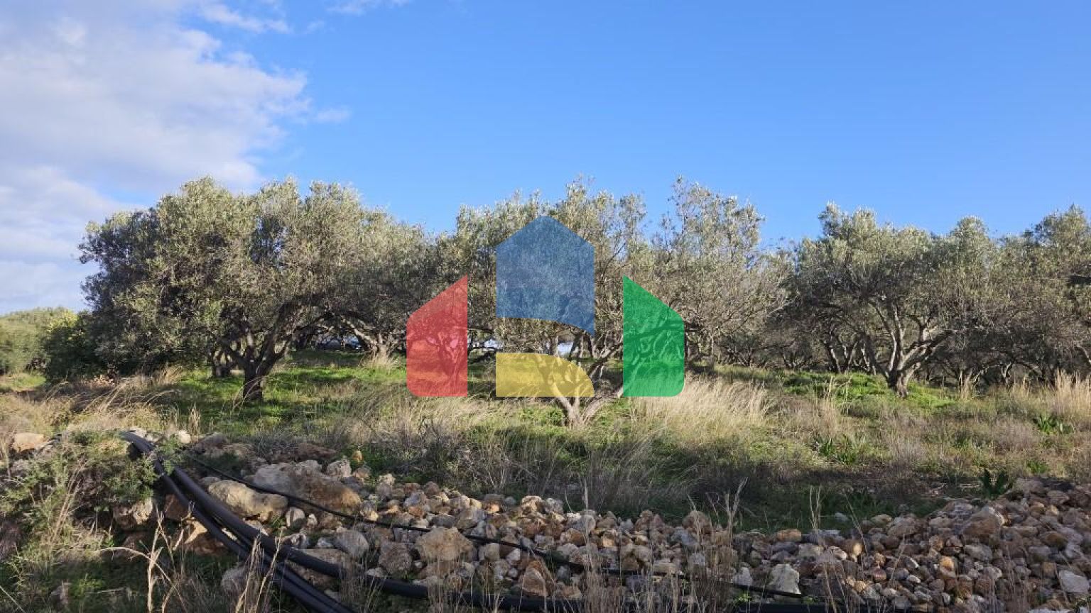 Продажа - Земельный участок 6300 m² на Крите