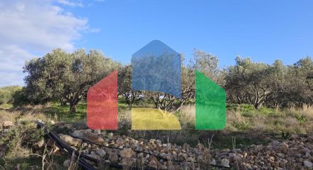 Продажа - Земельный участок 6300 m² на Крите