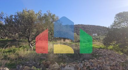 Продажа - Земельный участок 6300 m² на Крите