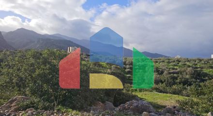 Продажа - Земельный участок 6300 m² на Крите