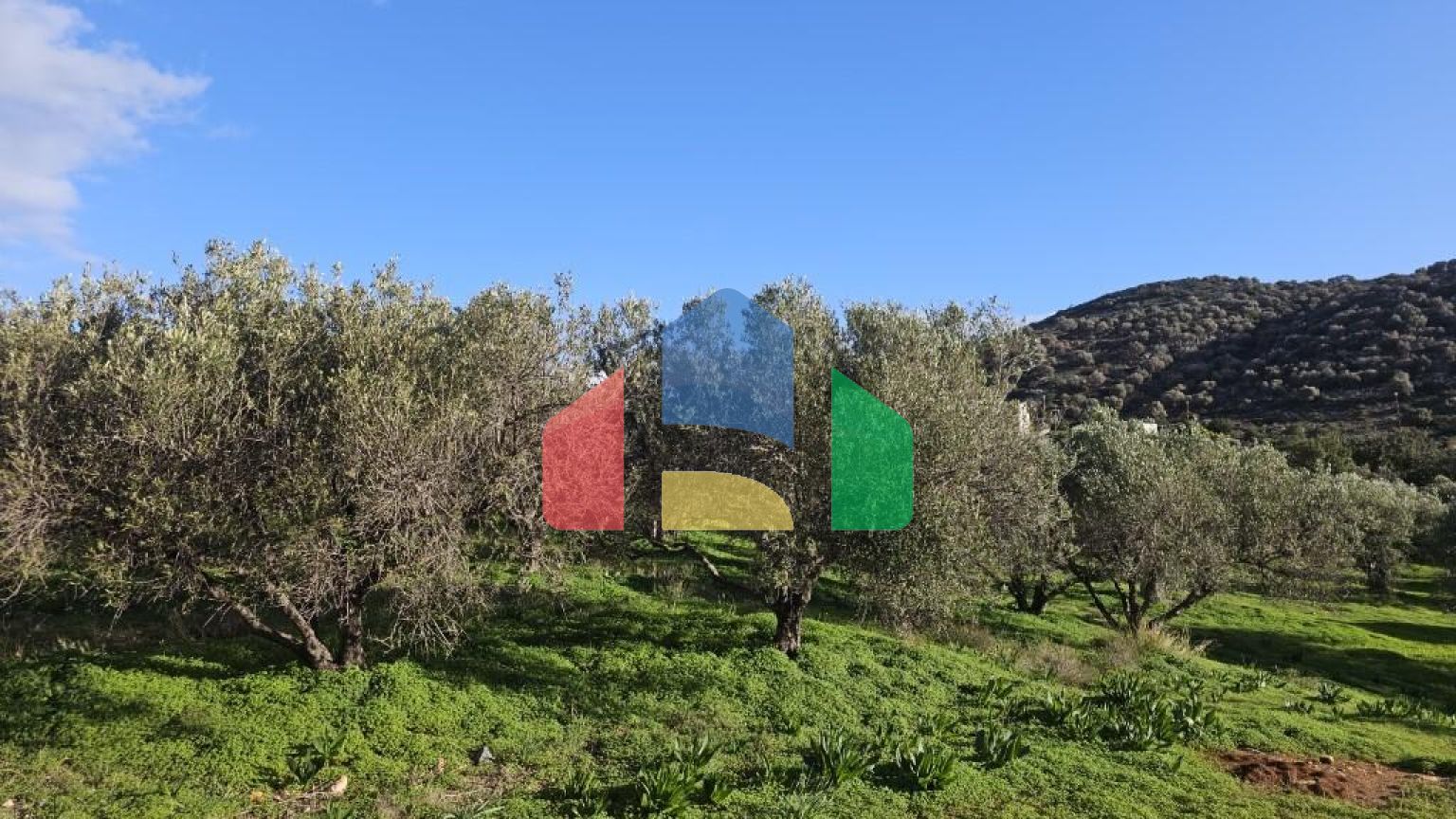 Продажа - Земельный участок 6300 m² на Крите