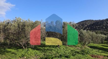 Продажа - Земельный участок 6300 m² на Крите