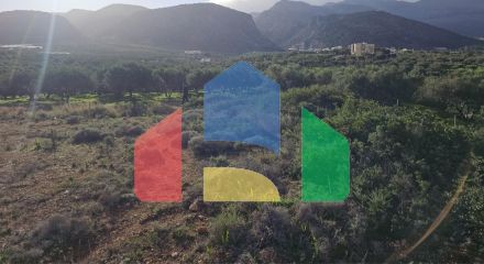 Продажа - Земельный участок 6300 m² на Крите