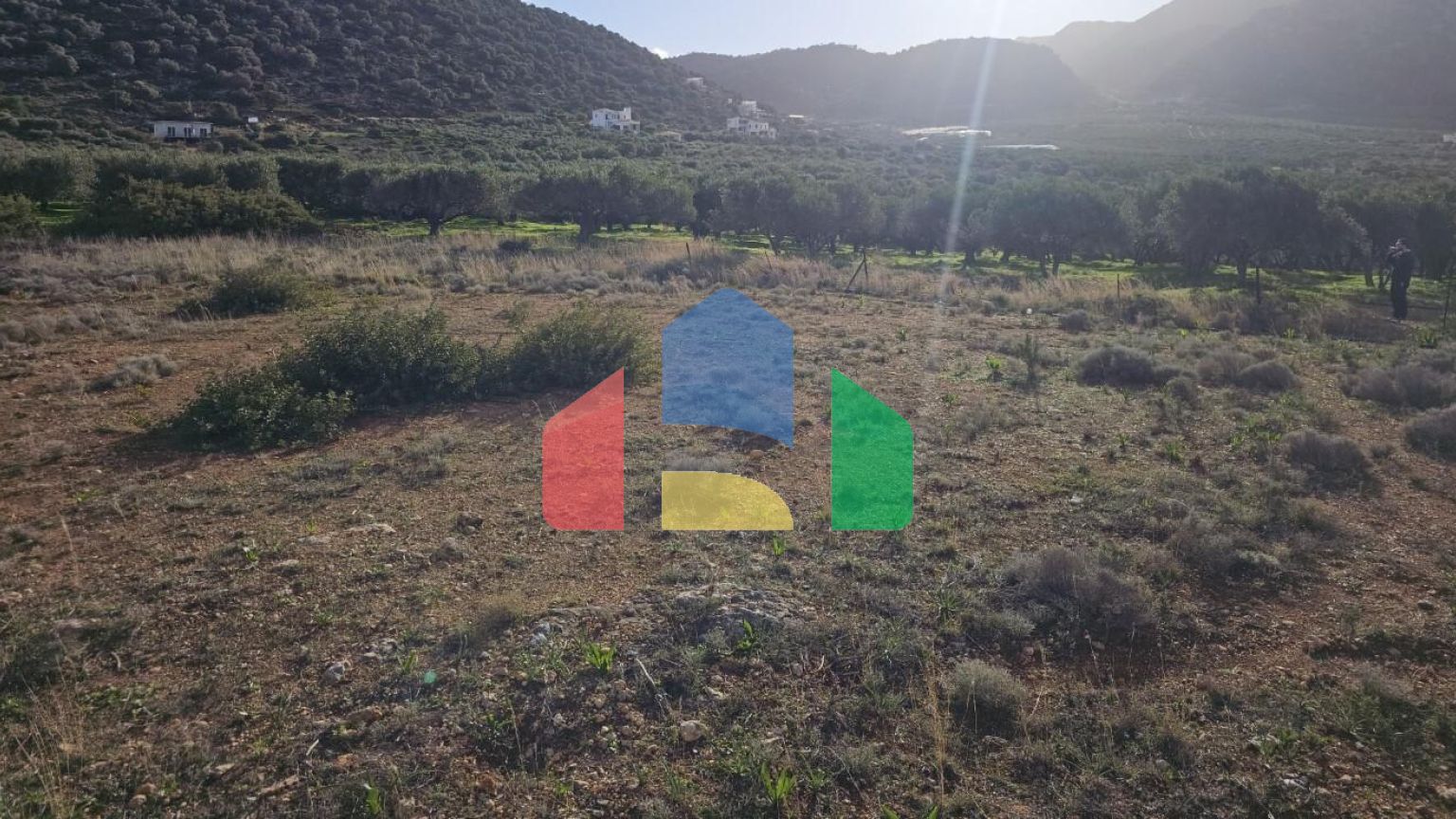 Продажа - Земельный участок 6300 m² на Крите