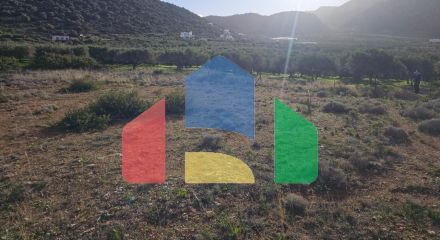 Продажа - Земельный участок 6300 m² на Крите