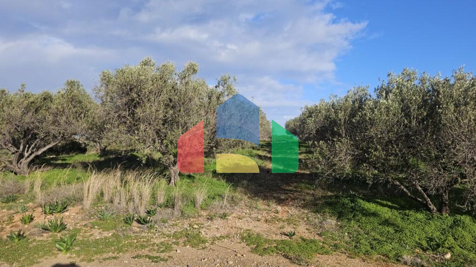 Продажа - Земельный участок 6300 m² на Крите