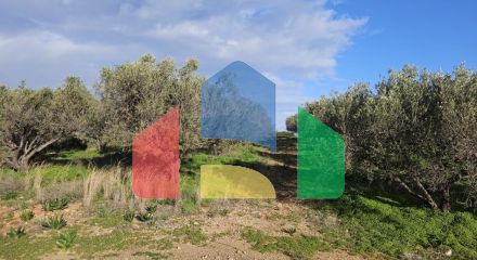 Продажа - Земельный участок 6300 m² на Крите