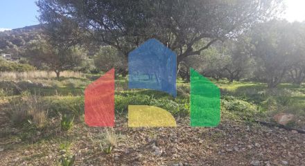 Продажа - Земельный участок 6300 m² на Крите