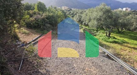 Продажа - Земельный участок 6300 m² на Крите