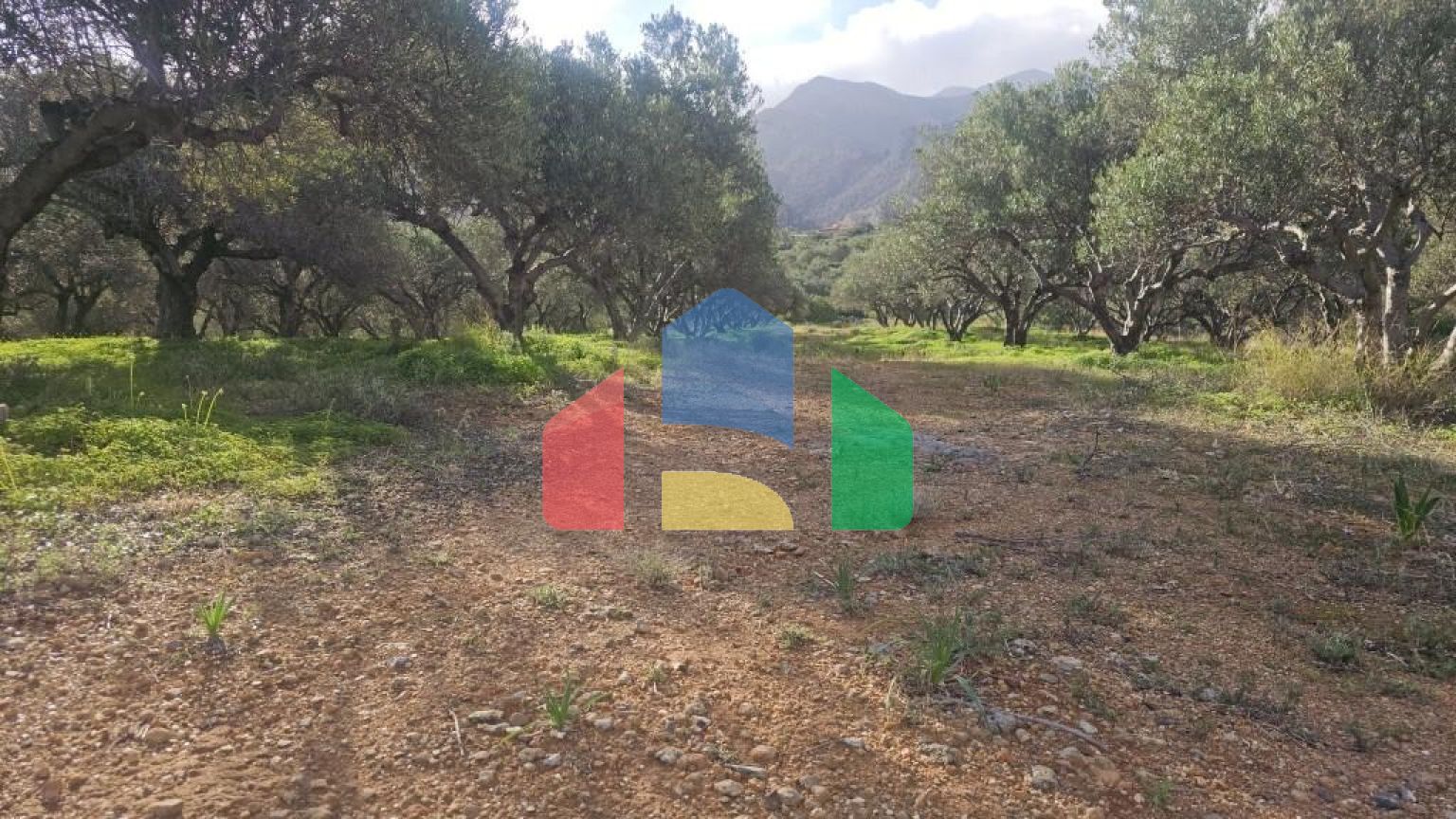 Продажа - Земельный участок 6300 m² на Крите