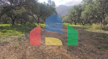 Продажа - Земельный участок 6300 m² на Крите