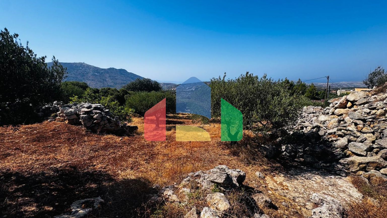 Продажа - Земельный участок 2500 m² на Крите