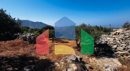 Продажа - Земельный участок 2500 m² на Крите