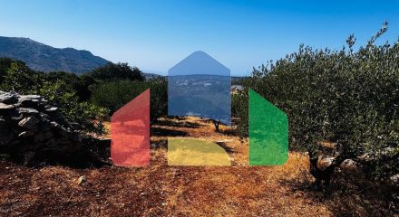 Продажа - Земельный участок 2500 m² на Крите