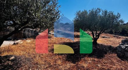 Продажа - Земельный участок 2500 m² на Крите