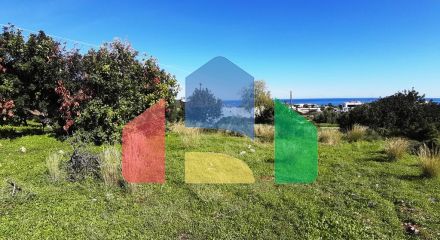 Продажа - Земельный участок 24000 m² на Крите